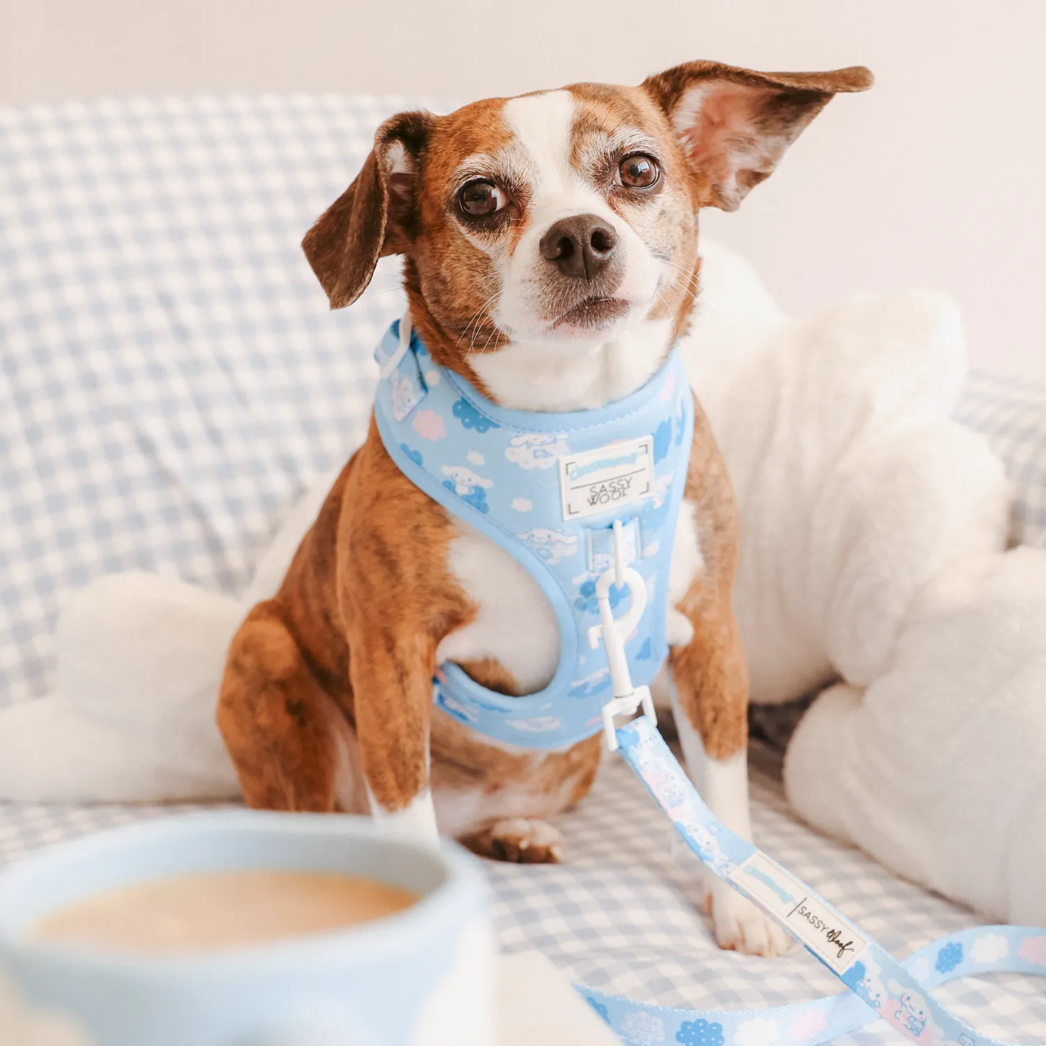 Hello Kitty Cinnamoroll x Sassy Woof hundesele Clouds XS–M