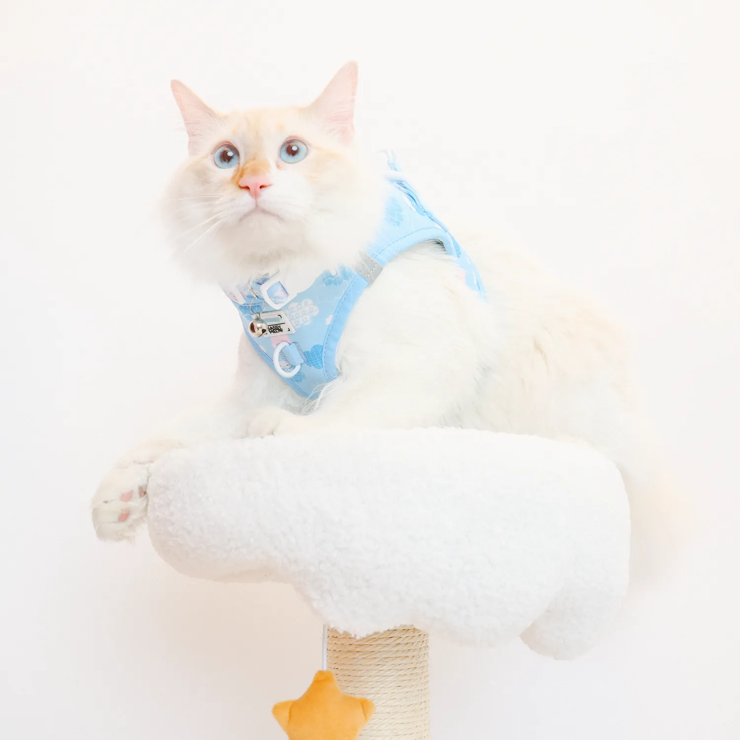 Hello Kitty Cinnamoroll x Sassy Woof Cat Step-In Harness sele til katt Clouds XS–M