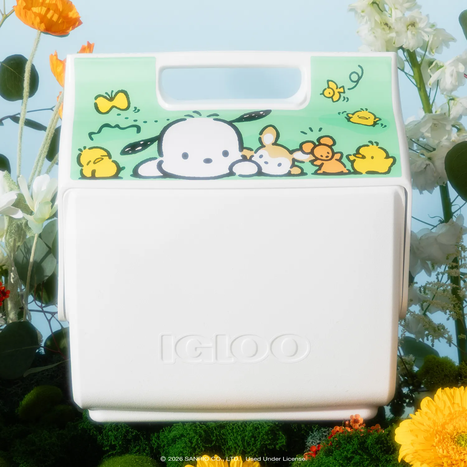Hello Kitty Pochacco x Igloo Little Playmate 7 Qt kjøleboks 9 bokser