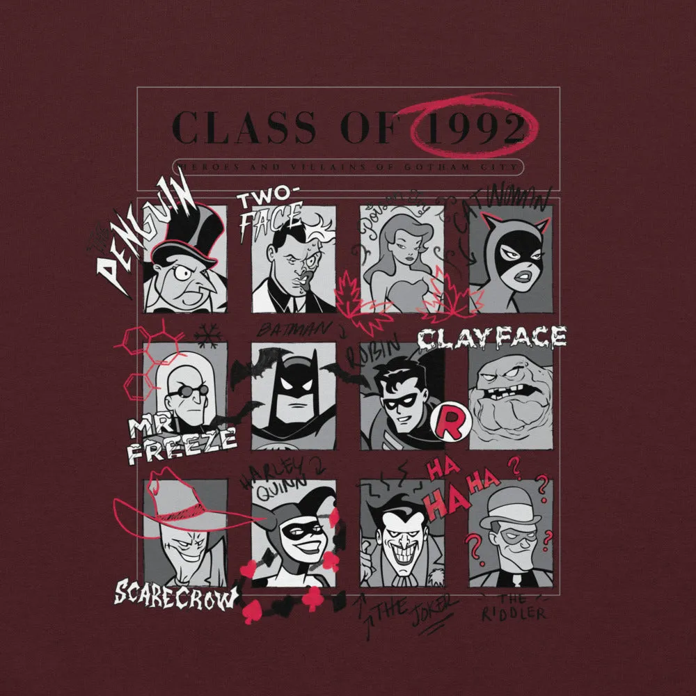 Batman The Animated Series Class of 1992 hettegenser