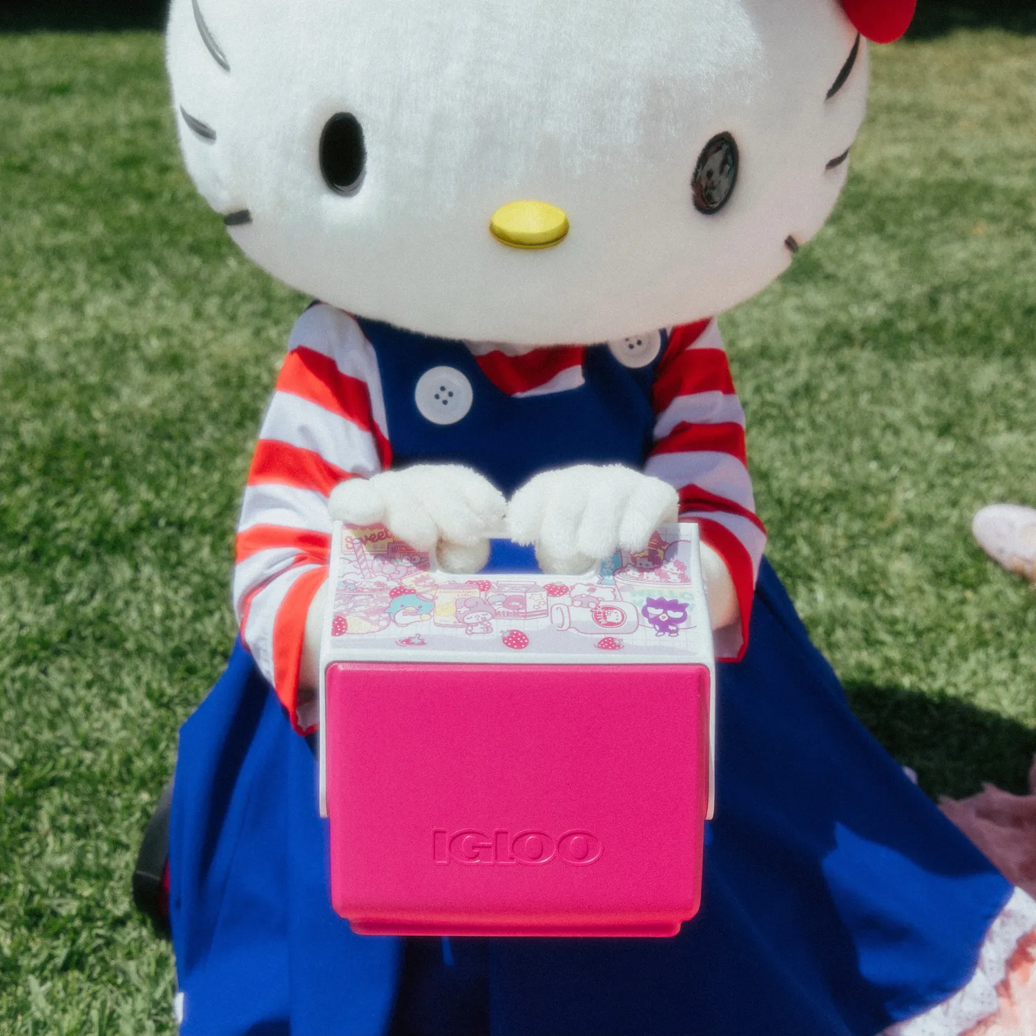 Hello Kitty and Friends x Igloo Little Playmate kjøleboks Strawberry Milk 6 liter
