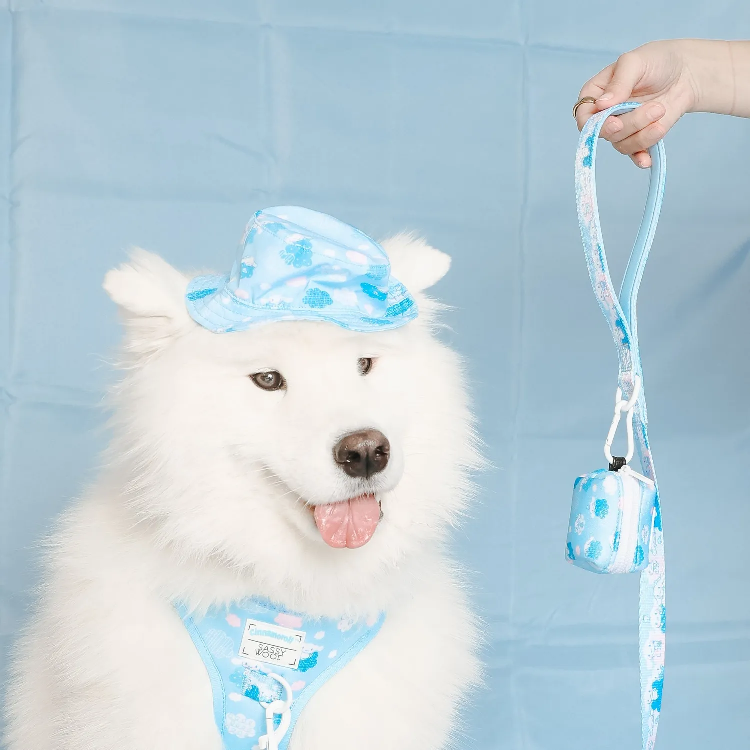 Hello Kitty Cinnamoroll Clouds hundehatt S–M med snor